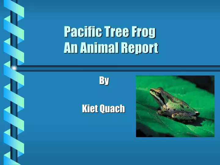 pacific tree frog an animal report