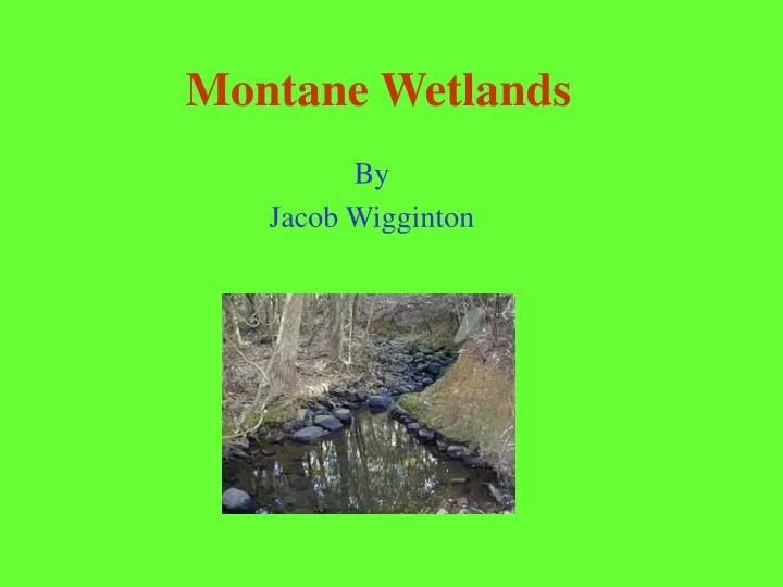 montane wetlands