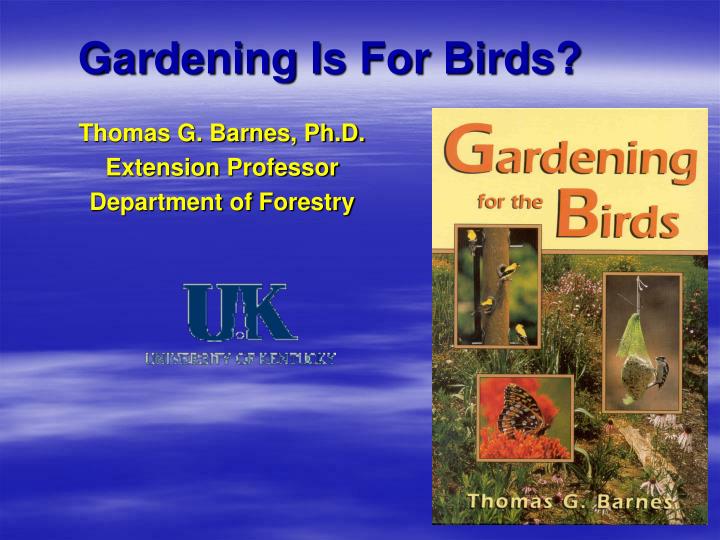 gardening is for birds
