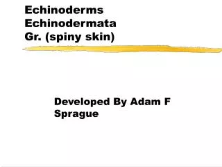 Echinoderms Echinodermata Gr. (spiny skin)