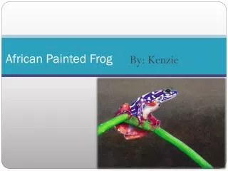 African Painted Frog