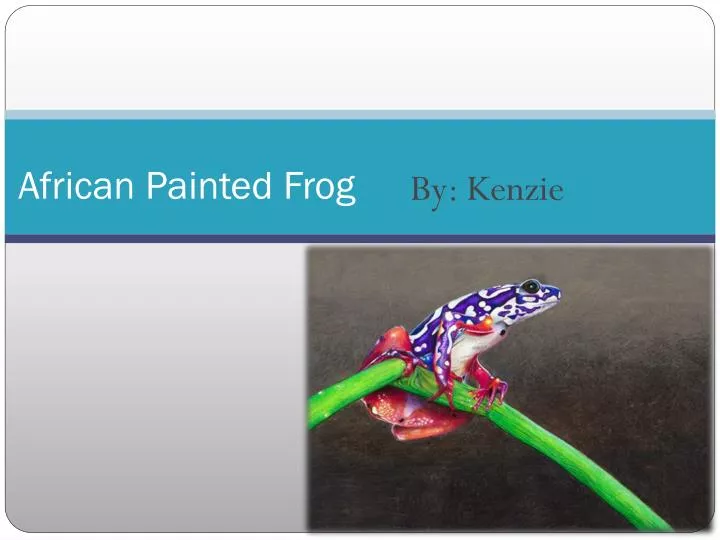african painted frog