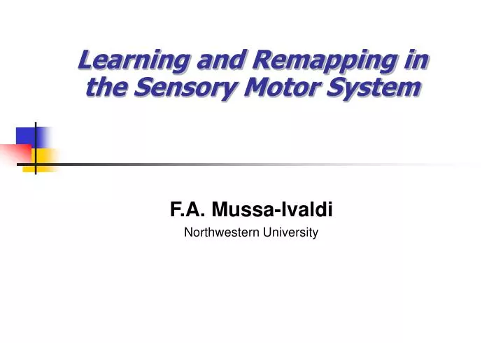 learning and remapping in the sensory motor system