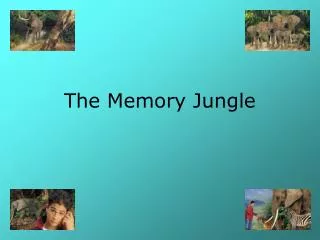 The Memory Jungle