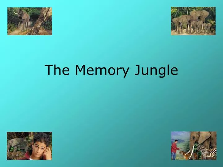 the memory jungle