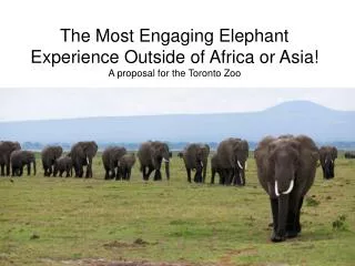 The Most Engaging Elephant Experience Outside of Africa or Asia! A proposal for the Toronto Zoo