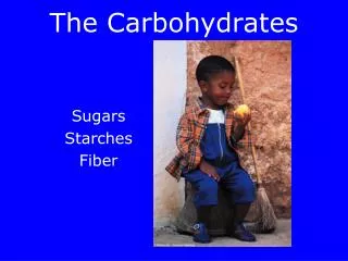 The Carbohydrates