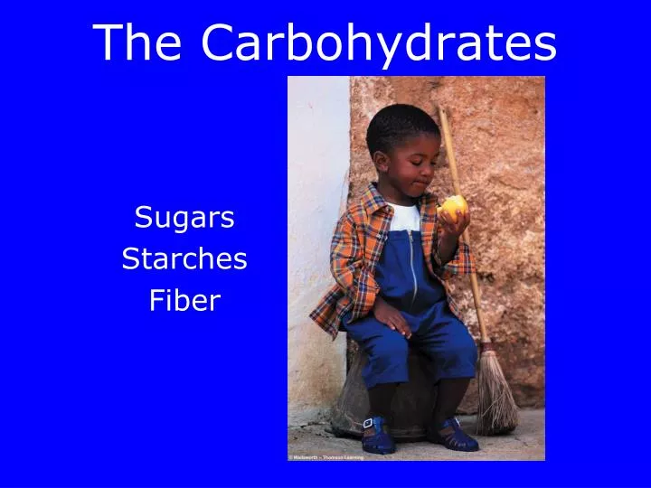 the carbohydrates