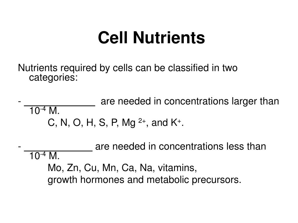 PPT - Cell Nutrients PowerPoint Presentation, free download - ID:346512