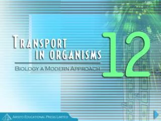 When do Organisms need Transport Systems?