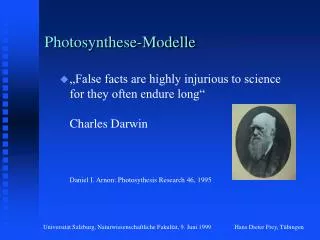 Photosynthese-Modelle