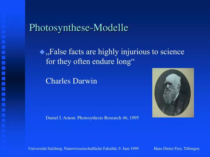 photosynthese modelle