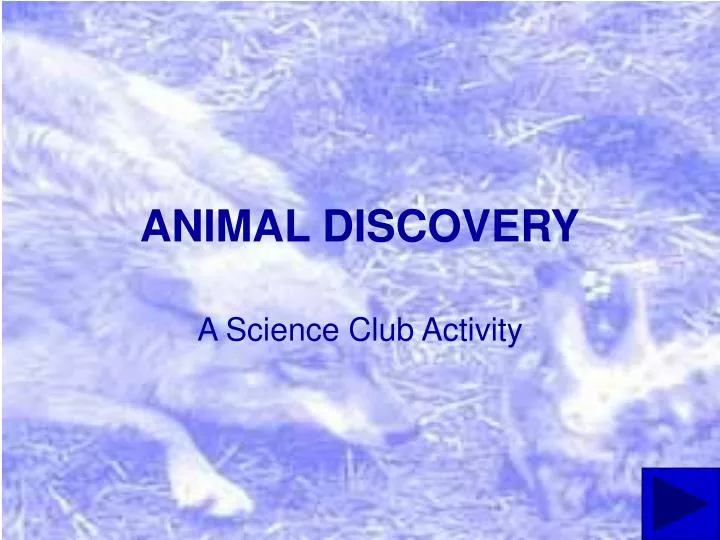 animal discovery
