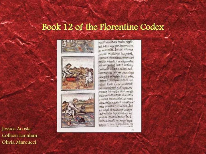 book 12 of the florentine codex