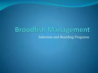 Broodfish Management