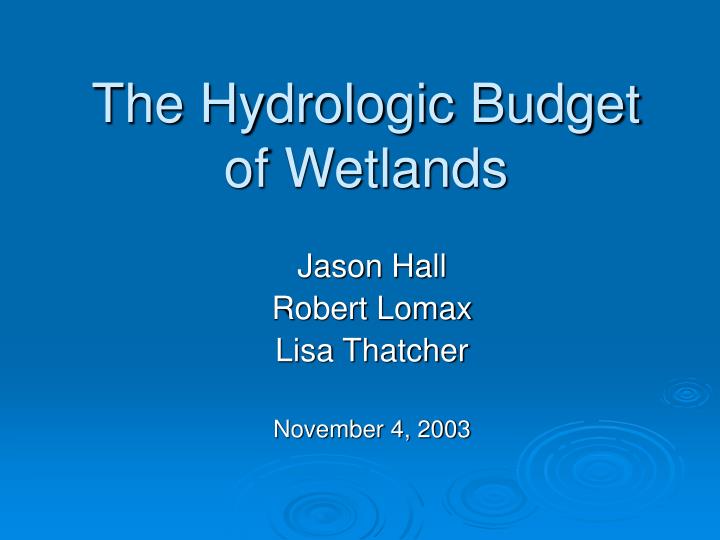 the hydrologic budget of wetlands