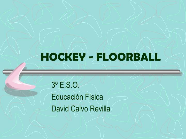 hockey floorball