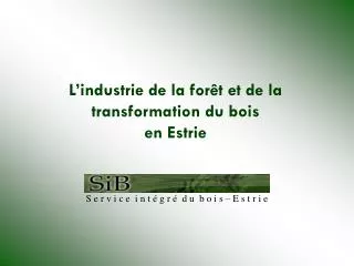 L’industrie de la forêt et de la transformation du bois en Estrie