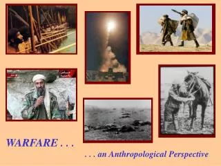 . . . an Anthropological Perspective