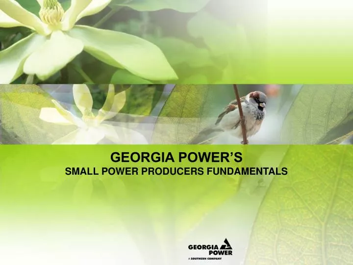 georgia power s small power producers fundamentals