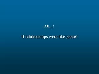 Ah...! If relationships were like geese!