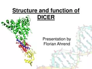 Structure and function of DICER