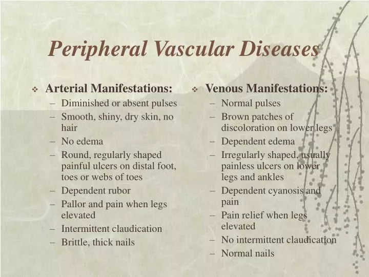 peripheral vascular diseases