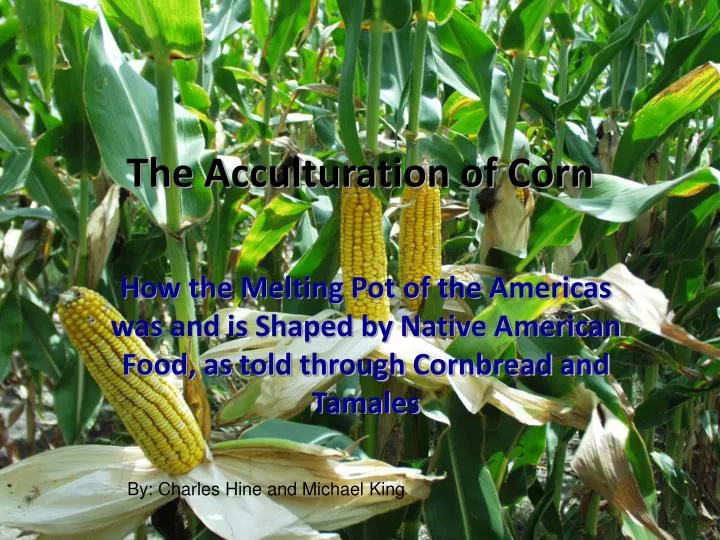 the acculturation of corn