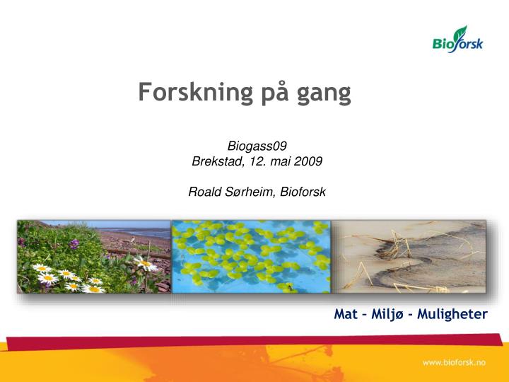 forskning p gang