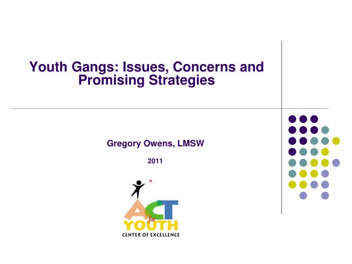 youth gangs issues concerns and promising strategies