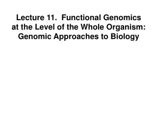 Lecture 11. Functional Genomics at the Level of the Whole Organism: Genomic Approaches to Biology