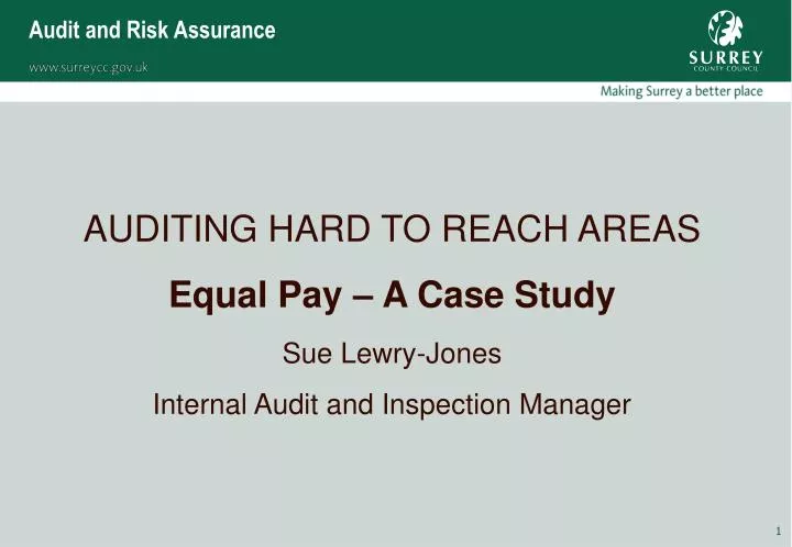 audit and risk assurance