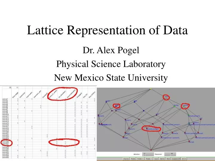 lattice representation of data