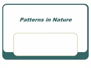 Patterns in Nature