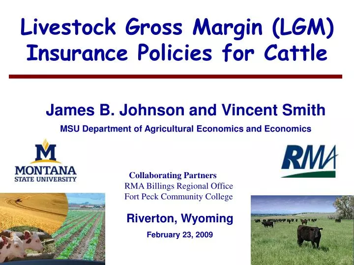 livestock gross margin lgm insurance policies for cattle
