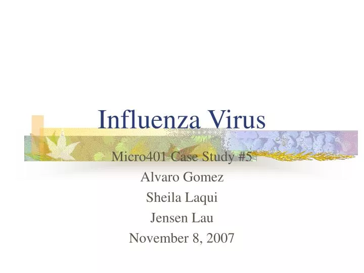 influenza virus