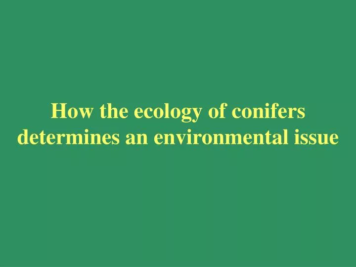 how the ecology of conifers determines an environmental issue