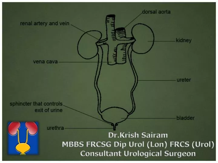 dr krish sairam mbbs frcsg dip urol lon frcs urol consultant urological surgeon
