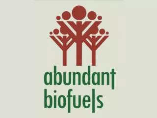 “Food vs. Fuel” Controversy over Biofuels