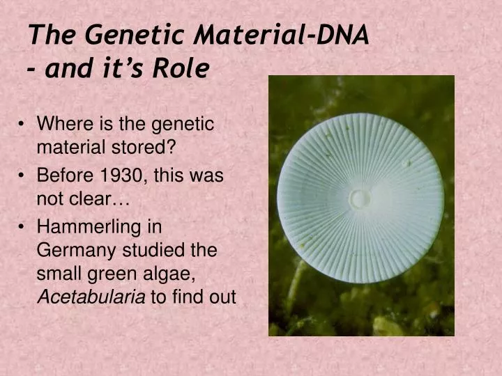 the genetic material dna and it s role