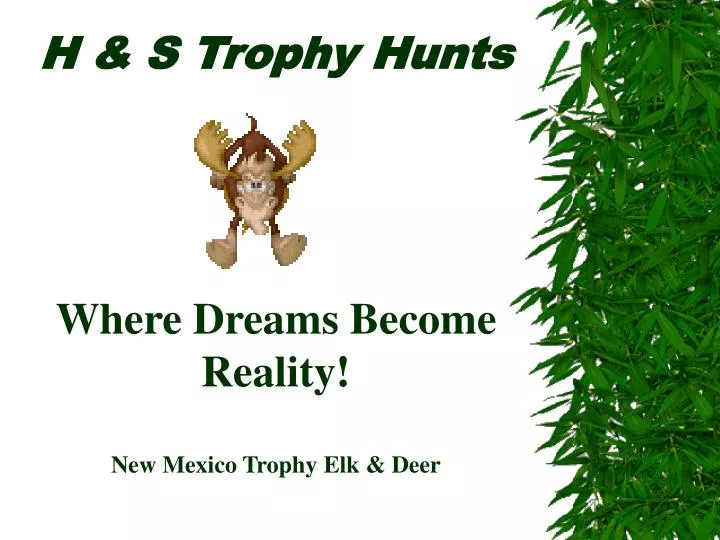 h s trophy hunts where dreams become reality new mexico trophy elk deer