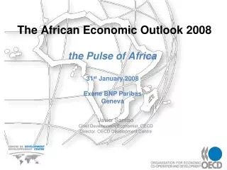 The African Economic Outlook 2008