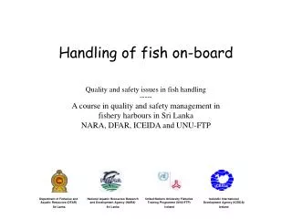 Handling of fish on-board