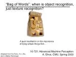 “Bag of Words”: when is object recognition, just texture recognition? - slide 1