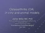 Osteoarthritis (OA): in vitro and animal models - slide 1