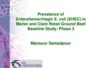 Prevalence of Enterohemorrhagic E. coli (EHEC) in Marler and Clark Retail Ground Beef Baseline Study: Phase 3 Mansour S