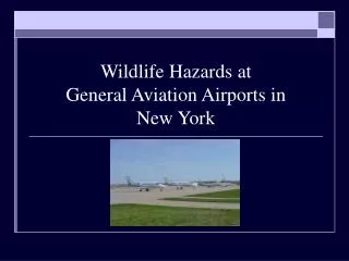 Wildlife Hazards at General Aviation Airports in New York