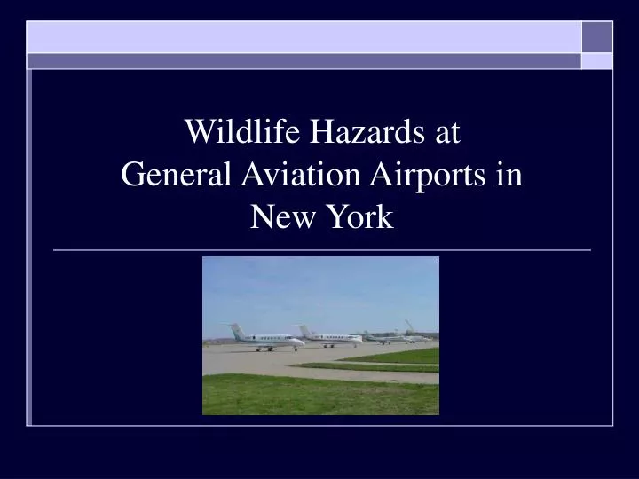 wildlife hazards at general aviation airports in new york