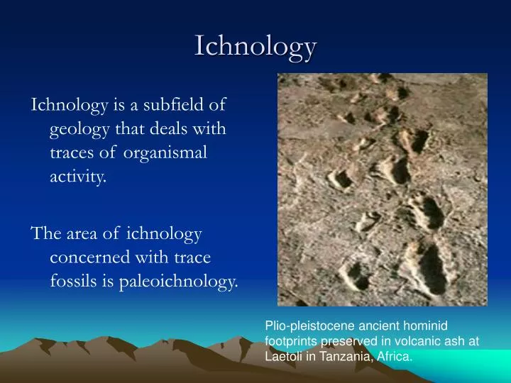 ichnology