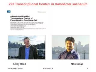 V23 Transcriptional Control in Halobacter salinarum